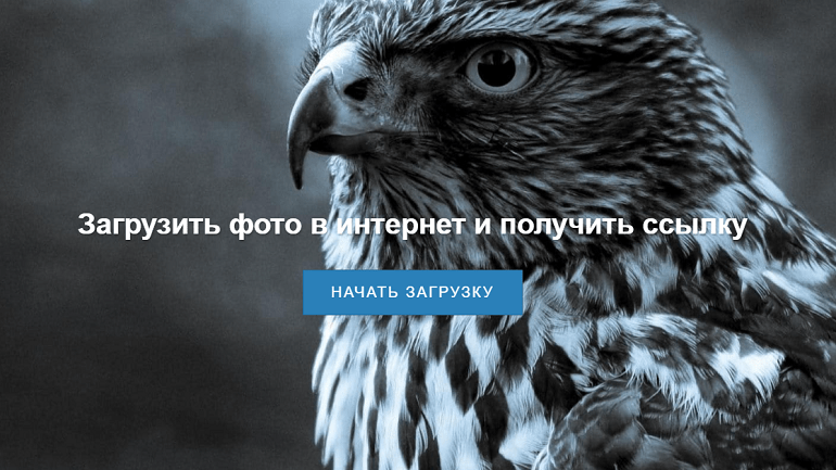 Разместить фото в интернете чтобы все видели без регистрации