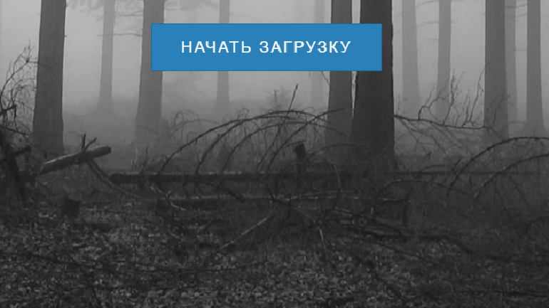 Загрузить фото в интернет для просмотра
